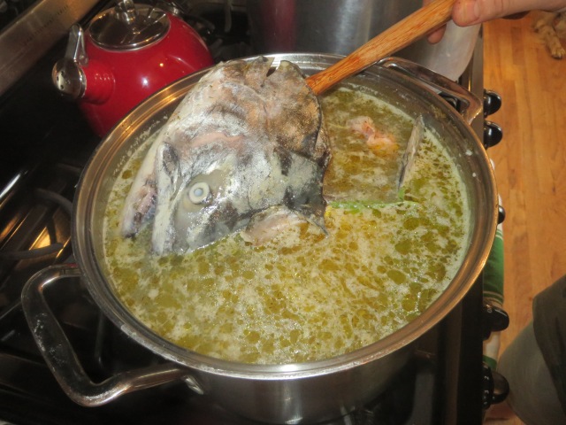 Fish head soup, Chinook salmon, fall 2014.